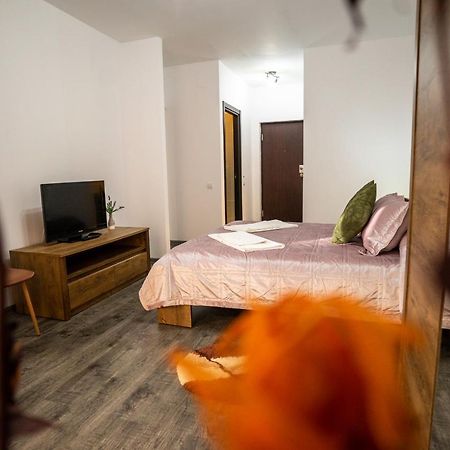 Seasons Primab Studio Braşov Dış mekan fotoğraf