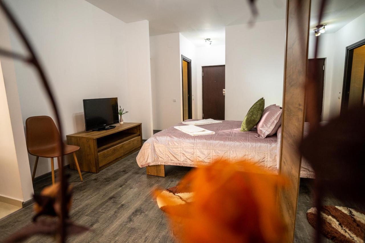 Seasons Primab Studio Braşov Dış mekan fotoğraf